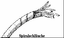 Spiralschluche